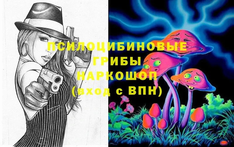 Псилоцибиновые грибы Cubensis  где купить   Бодайбо 